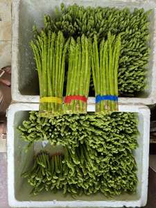 Asperges frais de qualité supérieure – Prix de gros compétitif - Product Image 2