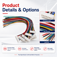 Arnés de Cableado JST Personalizado, Conjunto de Cables con Conector Multipin, Cable Codificado por Colores para Equipos Electrónicos, Suministro OEM ODM