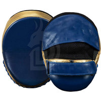 Pads de frappe de boxe en gros de la meilleure qualité, avec logo personnalisé, courbés, style professionnel, nouveau modèle, pad de frappe de boxe personnalisé