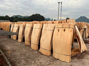 Mejor Precio para Chapa de Madera de Acacia/Eucalipto/Caucho - Exportación al por Mayor de Láminas de Chapa de Madera a EE. UU., Reino Unido, Japón, Corea, UE - Product Image 5