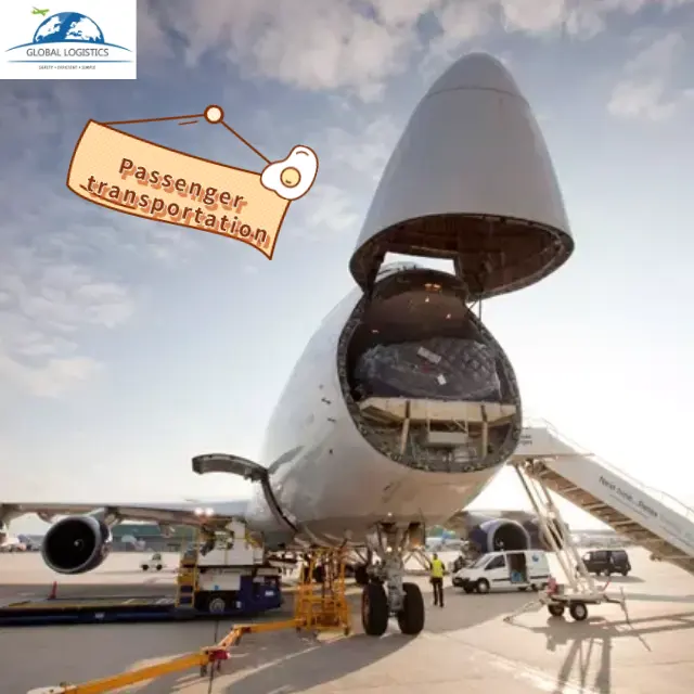 أسعار الشحن الجوي من ييوو إلى مطار Lhr بالمملكة المتحدة إلى مطار جنوب إفريقيا ، فرنسا ، إيطاليا ، ماليزيا ، تركيا ، تشيلي ، المكسيك ، الشحن الجوي ، الفئران
