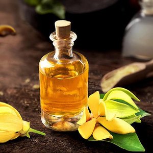 Pure Natural Ylang Ylang Essential <b>Oil</b> Steam Distilled Aromatherapy <b>Oil</b> for Skin Care Hair Growth <b>Diffuser</b> Bulk Wholesale Supply - Product Image 4