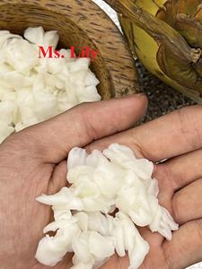 Natural-Fibra DE celulosa comprimida, índice DE COCO, 1:10, 5 kg, bolsa PA, logotipo personalizado, COLOR DE embalaje - Product Image 3