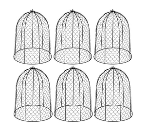 Vintage Style Garden <b>Cloche</b> - Product Image 2