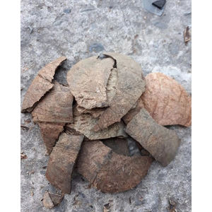 Coques de noix de coco concassées de haute qualité pour la production de briquettes de charbon et les projets de production d'énergie biomasse - Product Image 6