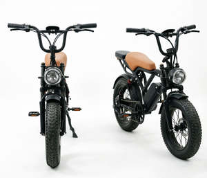 Bicicleta eléctrica de montaña con llantas gruesas, cuadro retro, bicicleta de cercanías con batería de litio de 48V20Ah, faro delantero y portaequipajes trasero. - Product Image 5