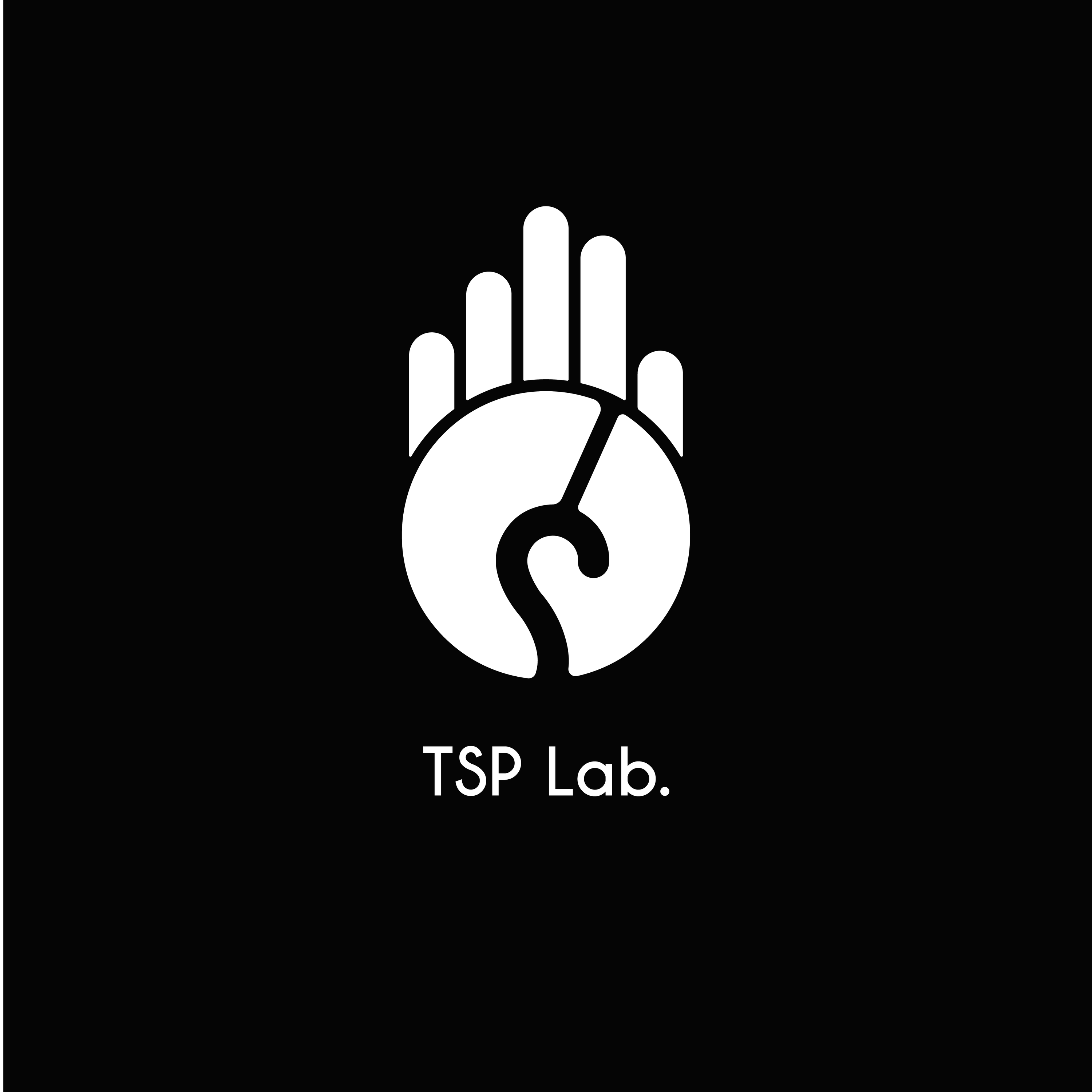 TSP Lab Ltd. logo