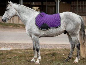 Almohadilla para Silla de Montar de Doma Clásica |   Manta de Silla de Montar Cuadrada Acolchada para Equitación |   Almohadilla Transpirable para Montar a Caballo, Venta al Por Mayor OEM - Product Image 4