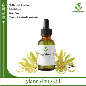 Ylang Ylang Essential Oil Manufacturer Offering Consistent Bulk Supply for International Cosmetics Brands Personal Care - Product Image 1