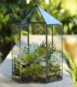 Terrarium géométrique, verre suspendu de grande taille - Product Image 2
