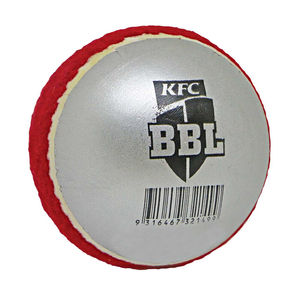 Swing Cricket Tennis Ball / <b>Bowling</b> Training Cricket Ball / Cricket Coaching Balls - Product Image 3