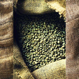 เมล็ดกาแฟโรบัสต้าสีเขียวเกรด1 S16พรีเมี่ยมคุณภาพสูง S18พร้อมส่งออกจากเวียดนาม - Product Image 2