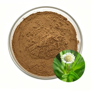 Polvo Herbal de Bhringraj Premium 100% Puro y Natural, Polvo de Hoja de Eclipta Prostrata para Mascarilla Capilar, Cuidado del Cuero Cabelludo y Acondicionamiento del Cabello - Product Image 1