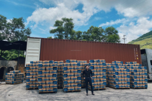 Charbon de bois de sciure de bois premium en bûches longues, avec un taux d'ash de jusqu'à 6 % et une valeur calorifique inférieure à 7500 Kcal/kg, idéal pour les grands barbecues. - Product Image 4