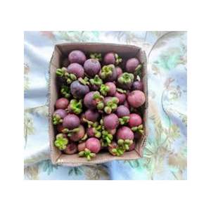 Mangoustan frais et sucré cultivé au Vietnam - Product Image 2