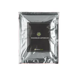 Produit de haute qualité RHIZOBIUM JAPONICUM Meilleur supplément d'azote pour les légumineuses produit de vente chaud excellent résultat