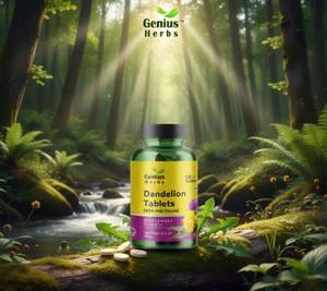 Comprimés de pissenlit de la meilleure sélection, emballage écologique, riches en nutriments, mélange d'herbes traditionnel pour la vitalité quotidienne - Product Image 3