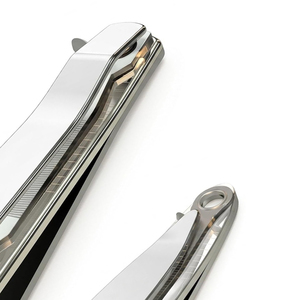 Coupe-ongles professionnels en acier inoxydable de qualité supérieure, design plat et portable, pour ongles épais et larges - Product Image 6