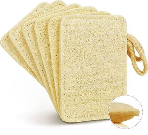 Wholesale Unbleached Organic Natural Loofah Kitchen Sponge <b>Biodegradable</b> Dish Scrubber Eco Friendly Pad Custom Packaging - Product Image 4