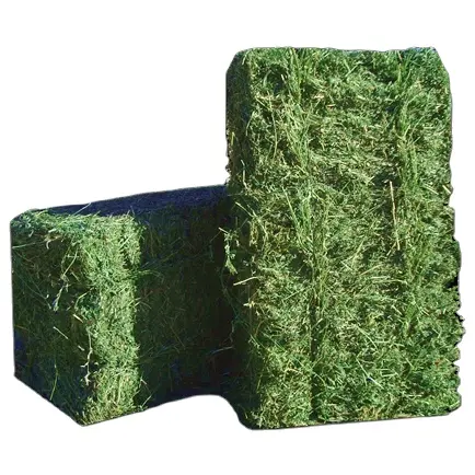 ก้อนหญ้าแห้ง Alfalfa จำนวนมาก