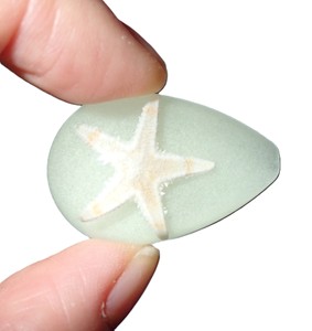 Starfish Real Specimen Plastic Cabochon Pear Shape Cut <b>Top</b> 33x22 mm Glow Flat Bottom for Crafts and Jewelry Making - Product Image 3