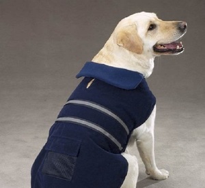 Chaqueta de Invierno para Perro, de Lujo, Resistente, Cálida, de Nailon Ecológico, Accesorio de Ropa para Mascotas, Superventas - Product Image 4