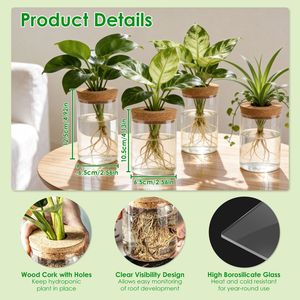 Lot de 4 pots en verre d'intérieur, grands et petits, pour stations de propagation hydroponique, pour boutures de fleurs et de plantes - Product Image 2