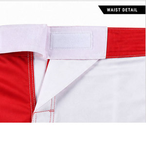 Productos Más Vendidos en Pakistán, Ropa de Artes Marciales de Última Moda, Pantalones Cortos de Boxeo MMA de Secado Rápido, Último Diseño de Pantalones Cortos de MMA - Product Image 5