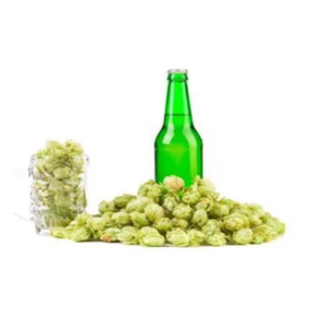 Poudre d'extrait de houblon 60% Xanthohumol séchée par atomisation, extrait végétal naturel de qualité alimentaire - Product Image 4
