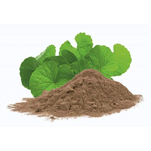 Poudre de feuilles de Brahmi en vrac pour la vente en gros, pure et naturelle, utilisée dans les shampoings et après-shampoings à base de plantes - Product Image 3