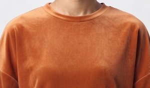 T-shirt en velours à manches longues pour femme, doux, confortable, col rond, uni, couleur unie, qualité supérieure, mode d'hiver - Product Image 5