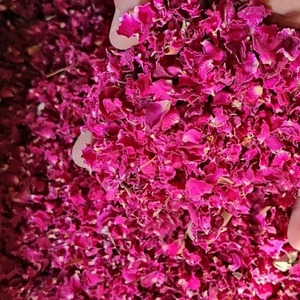 Rosa Centifolia Natural, Rosa Indica, Materia Prima Herbal para Extractos Botánicos Ayurvédicos, Bienestar Tradicional Herbal - Product Image 3