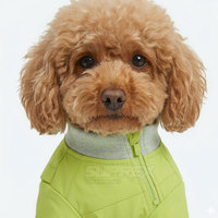 Pull chaud pour chiot en polyester et élasthanne, moderne, écologique, respirant et souple, idéal pour l'entraînement des chiens et des chats