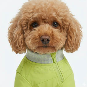 Traje Deportivo Cálido para Cachorros, de Poliéster, Moderno, Ecológico, Transpirable y Flexible, para Animales Pequeños y Grandes - Product Image 2