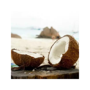 Noix de coco biologique pure, noix de coco mûre, noix de coco fraîche et tendre, noix de coco semi-décortiquée, OEM - Product Image 5