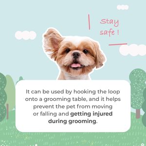 HEDYS GROOMING Model Heyd 015 Waterproof PVC Restraint Leash <b>Dogs</b> <b>Pink</b> Adjustable Durable Strap Home Grooming Table Lead - Product Image 3