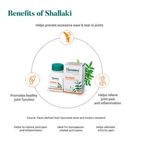 Shallaki Capsules Boswellia Supplement Joint Pain Mobility Support - Product Image 3