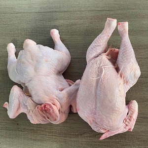 ไก่แช่แข็งคุณภาพพรีเมียมพร้อมจำหน่ายแบบขายส่ง ตัวเลือกการทำอาหารหลากหลายสำหรับร้านค้าปลีกและธุรกิจบริการอาหารระดับมืออาชีพ - Product Image 1