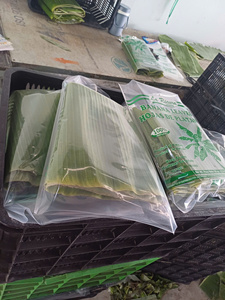 ใบตองแช่แข็งขนาดใหญ่หลากหลายขนาดสำหรับใช้ในอุตสาหกรรมและร้านอาหาร - Product Image 4