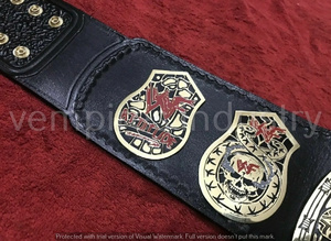 Cinturón de Campeonato de Karate, BJJ y Boxeo de Cuero OEM Personalizado, Transpirable, Impermeable, Ecológico, Ligero, de Cintura Alta, 2 cm de Grosor - Product Image 3