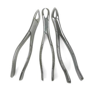 Pinzas de Extracción Dental de Acero Inoxidable de Alta Calidad para Venta en Línea - Product Image 1