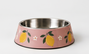 Gamelle Moderne en Métal Émaillé Anti-Renversement pour Animaux, Motif Citron, pour Chien et Chat, avec Base Antidérapante en Caoutchouc, Vente en Gros - Product Image 4