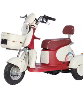 Tricycle électrique urbain avec moteur arrière 500W, 3 vitesses, 48V 12Ah, cadre en acier, deux places pour adultes - Product Image 3