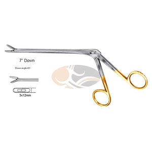 JACKBILLY Caspar Pinza de 7 pulgadas con ángulo de 45 grados, 3x12mm, de acero inoxidable, para disco intervertebral, fenestrada, con copa lateral dentada - Product Image 4