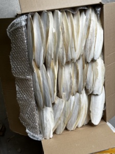 Hueso de Sepia Seco, Hueso de Sepia Picado para Mascotas, Tortugas, Caracoles, Tamaño 10-20mm, Fortificador Natural de Calcio, Exportador de Vietnam - Product Image 3