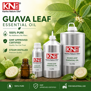 น้ำมันหอมระเหยใบฝรั่งแท้ 100% คุณภาพสูง ได้รับการรับรองออร์แกนิก Psidium Guajava ผู้ผลิตขายส่งทั่วโลก ผู้ส่งออก ผู้ค้าส่ง - Product Image 2
