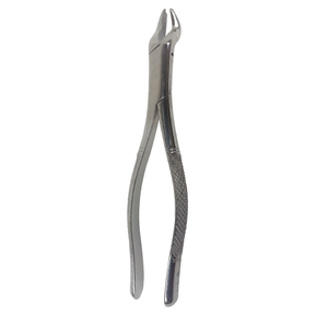 คีมถอนฟัน # เครื่องมือถอนฟันสแตนเลสแบบแมนนวล รุ่น 53R สำหรับฟันกรามบนซ้าย-ขวา ซี่ที่ 1 และ 2 พร้อมด้ามจับตามหลักสรีรศาสตร์ - Product Image 3