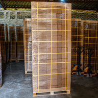 Blocs de coco peat certifiés ISO de 5 kg avec expansion de 15-18 L, faible teneur en EC, écologiques, pour l'hydroponie et l'agriculture, export en vrac depuis l'Inde