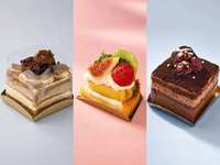 Collection de moules à cupcakes en papier de qualité supérieure, outils et accessoires modernes pour la pâtisserie
