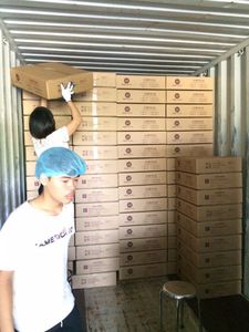 ฮันคอฟฟี่ เวียดนาม กาแฟอาราบิก้าคั่ว 100% แบบล้างสะอาด+ธรรมชาติ 500 กรัม/ถุง - รสชาติสดใสและเป็นผลไม้ - บริการ ODM/OEM พร้อมตัวอย่างฟรี - Product Image 6